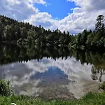 La Mauselaine La Perle Des Vosges *