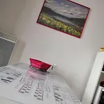 La Mauselaine La Perle Des Vosges 제라르메르