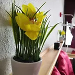 La Mauselaine La Perle Des Vosges 아파트