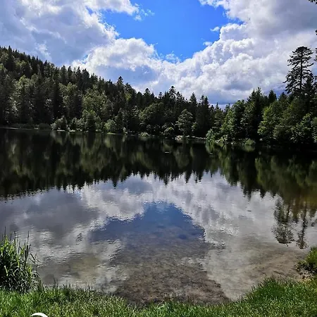 La Mauselaine La Perle Des Vosges *