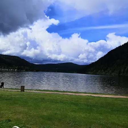 La Mauselaine La Perle Des Vosges