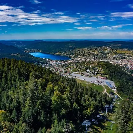 La Mauselaine La Perle Des Vosges 아파트 *