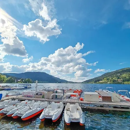 La Mauselaine La Perle Des Vosges Gerardmer
