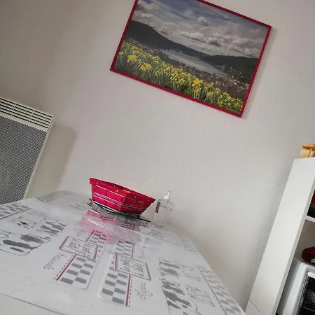 La Mauselaine La Perle Des Vosges 热拉梅