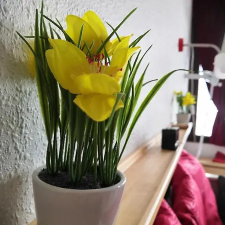 La Mauselaine La Perle Des Vosges דירה