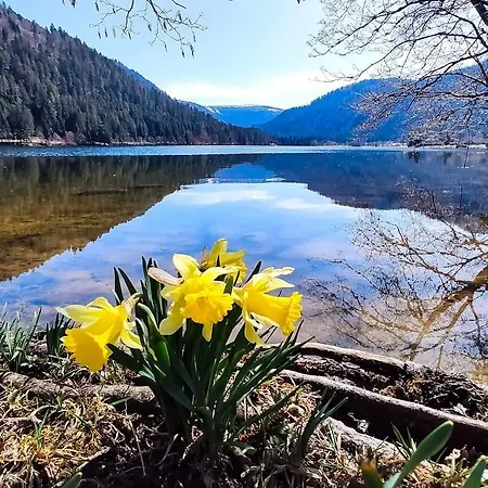 La Mauselaine La Perle Des Vosges Gerardmer