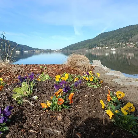 公寓 La Mauselaine La Perle Des Vosges