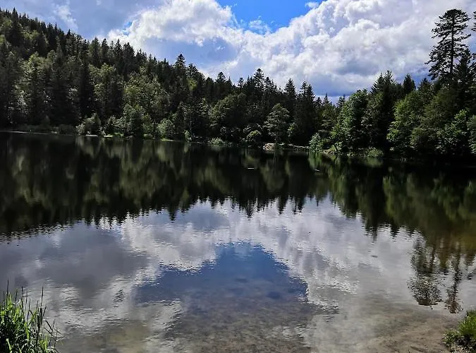 La Mauselaine La Perle Des Vosges *