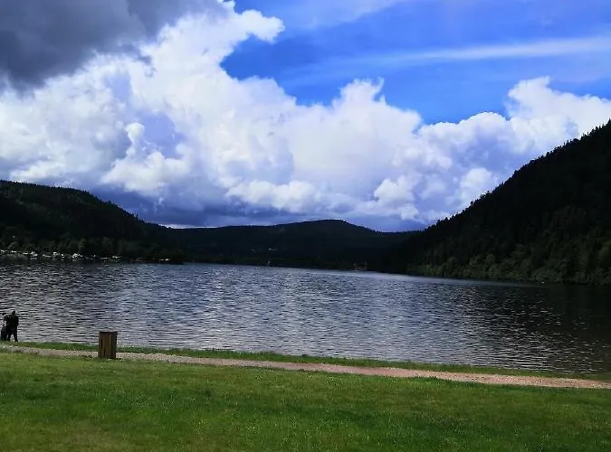 La Mauselaine La Perle Des Vosges