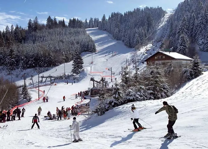 La Mauselaine La Perle Des Vosges Apartmán *