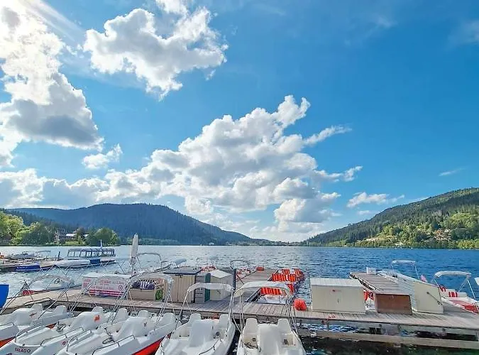 La Mauselaine La Perle Des Vosges Gérardmer