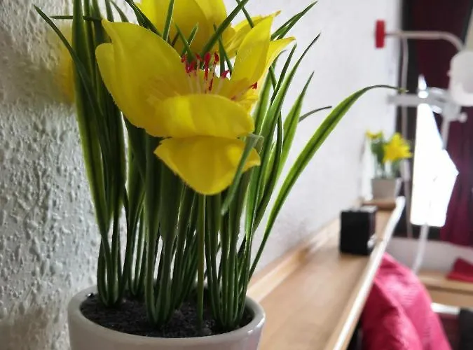 La Mauselaine La Perle Des Vosges Appartement