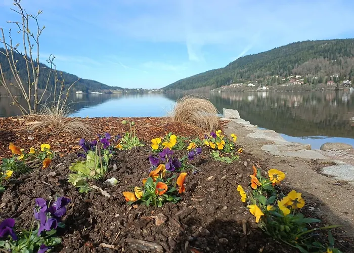 Appartement La Mauselaine La Perle Des Vosges